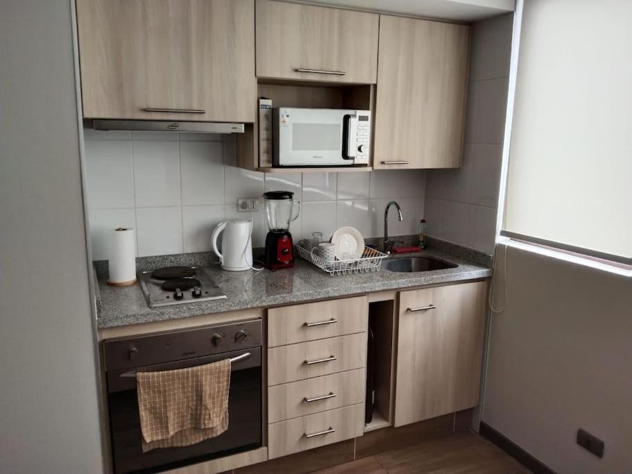 Appartement Departamento Nuevo Tipo Estudio En Pleno Centro -8 à Concepción Extérieur photo