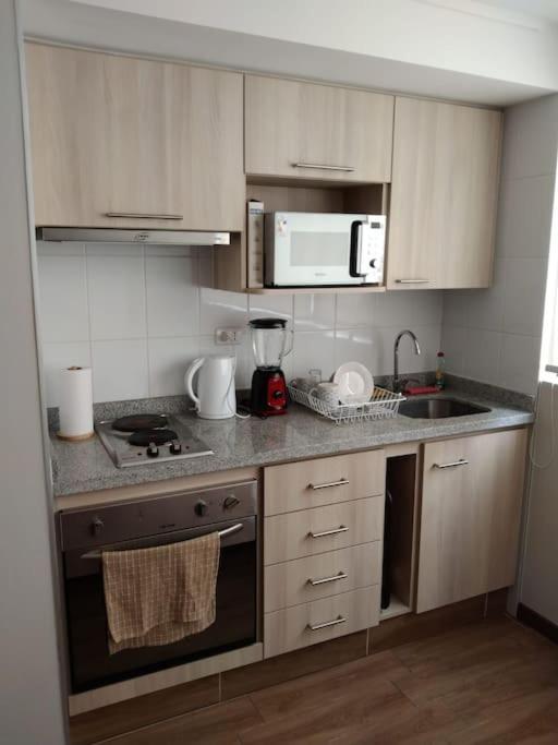 Appartement Departamento Nuevo Tipo Estudio En Pleno Centro -8 à Concepción Extérieur photo