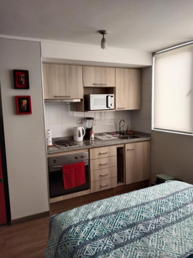 Appartement Departamento Nuevo Tipo Estudio En Pleno Centro -8 à Concepción Extérieur photo