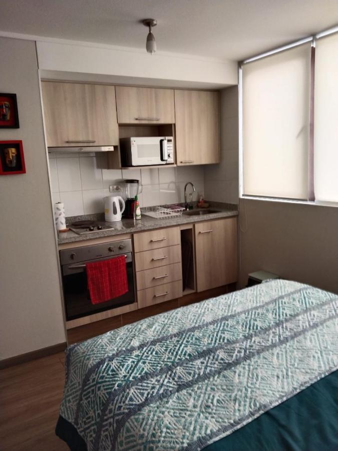 Appartement Departamento Nuevo Tipo Estudio En Pleno Centro -8 à Concepción Extérieur photo